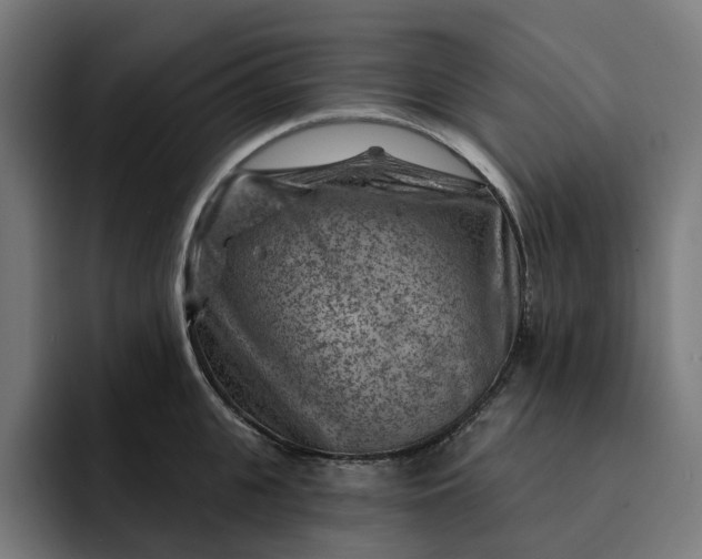 X0000093260951200710101456