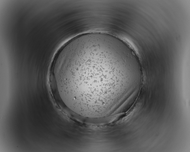 X0000093260952200710101456