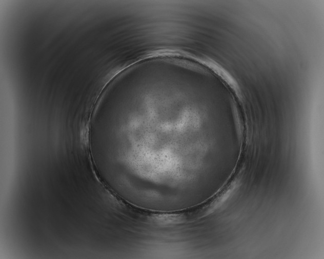 X0000093260953200710101456