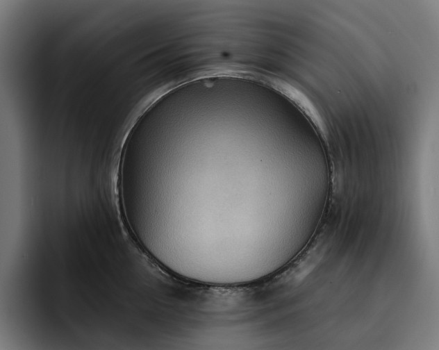 X0000093260954200710101456