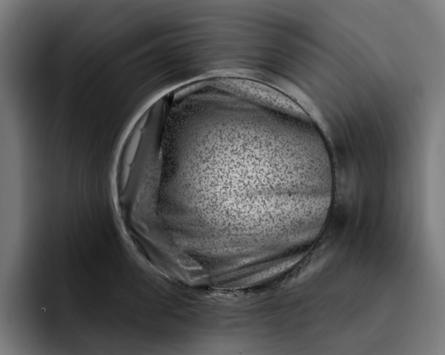 X0000093260955200710101456