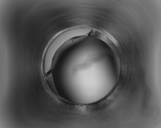 X0000093260956200710101456