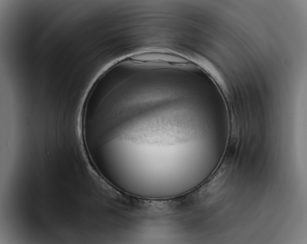 X0000093260958200710101456