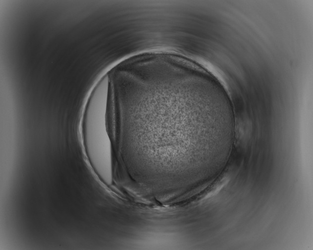 X0000093260959200710101456