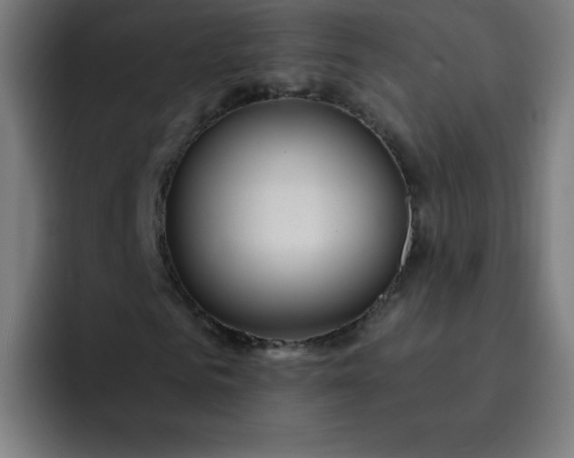 X0000093260961200710101456