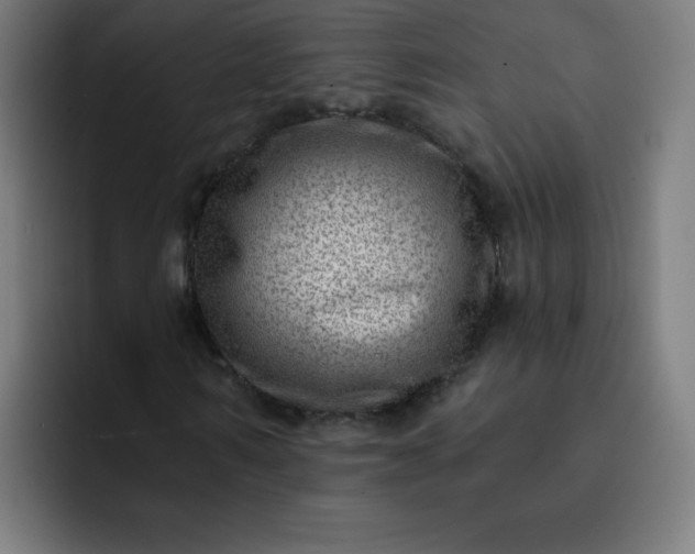 X0000093260962200710101456