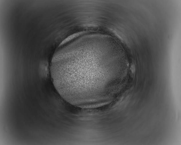 X0000093260963200710101456