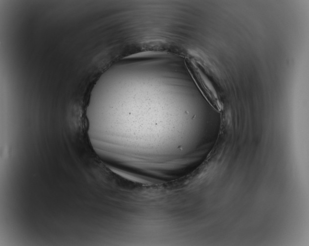 X0000093260964200710101456