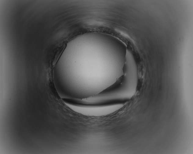 X0000093260965200710101456