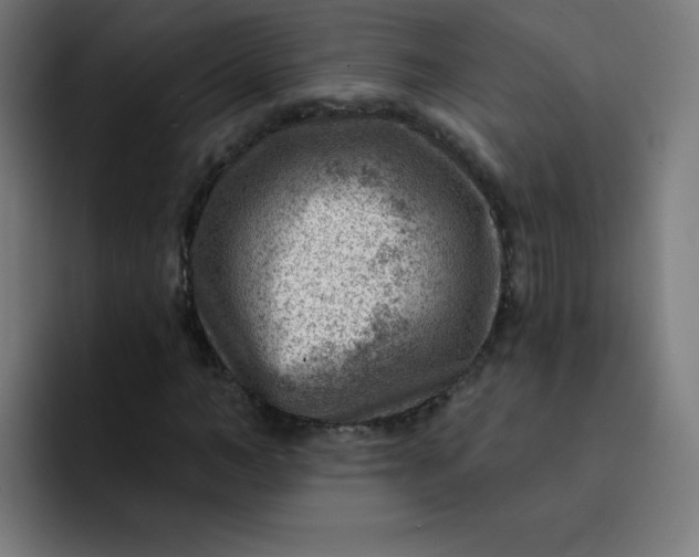 X0000093260966200710101456