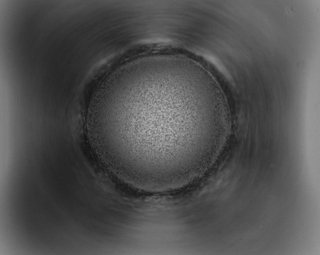 X0000093260967200710101456