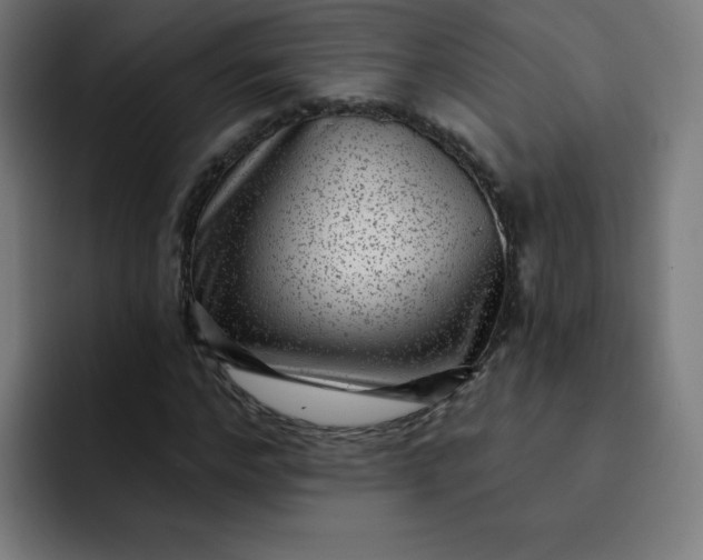 X0000093260968200710101456