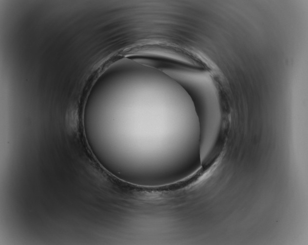 X0000093260969200710101456