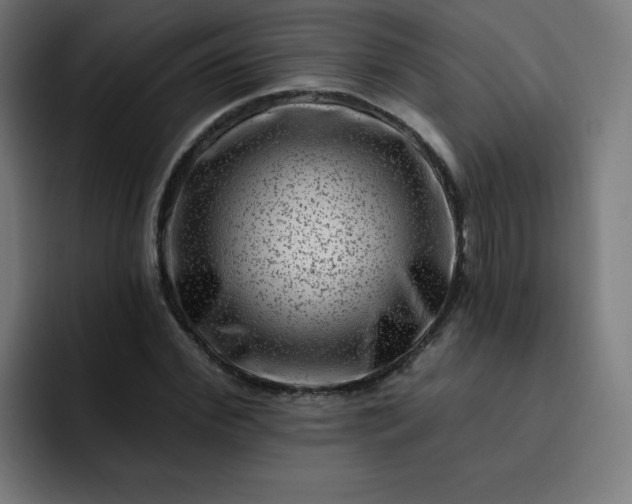 X0000093260972200710101456