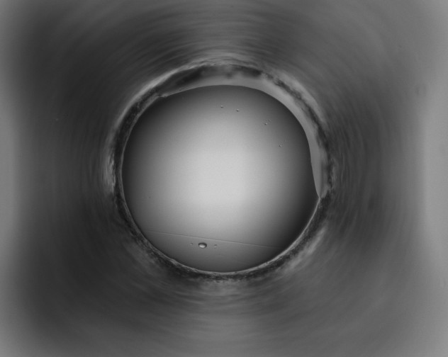 X0000093260973200710101456