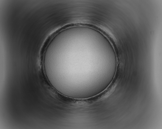 X0000093260974200710101456