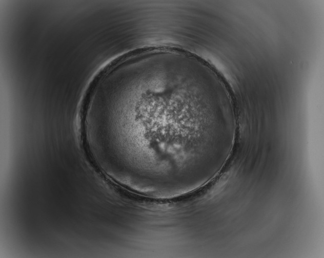 X0000093260975200710101456