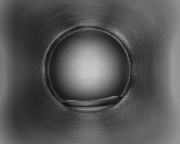 X0000093260976200710101456