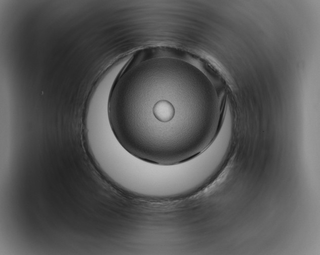 X0000093260977200710101456