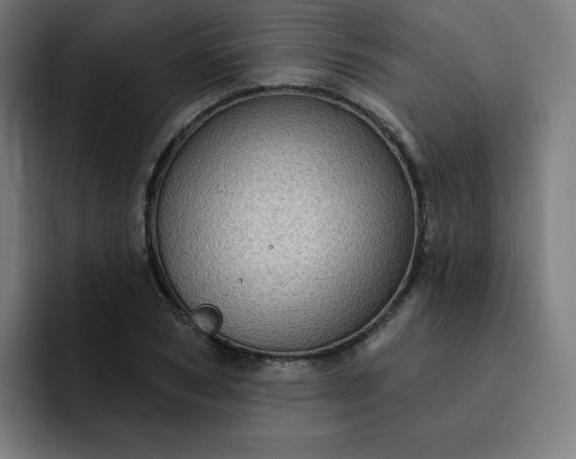 X0000093260978200710101456