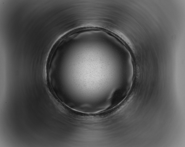 X0000093260980200710101456