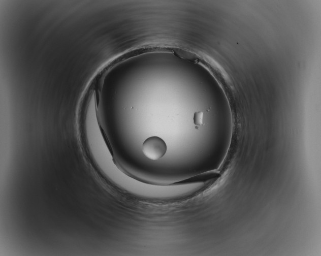 X0000093260981200710101456