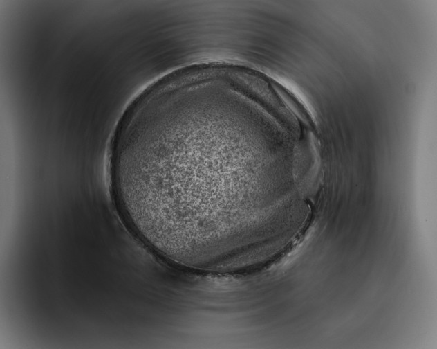 X0000093260983200710101456