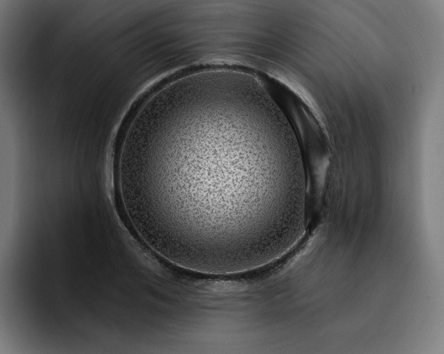 X0000093260984200710101456