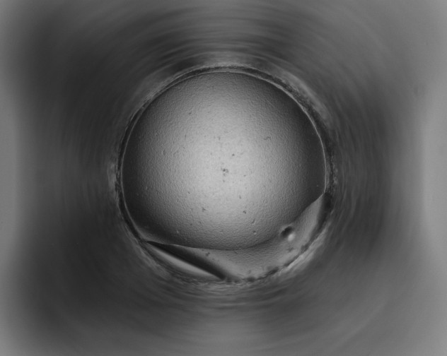 X0000093260985200710101456