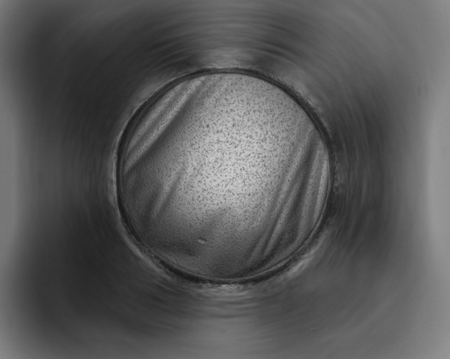 X0000093260986200710101456