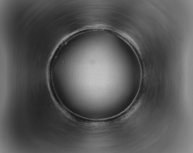 X0000093260989200710101456