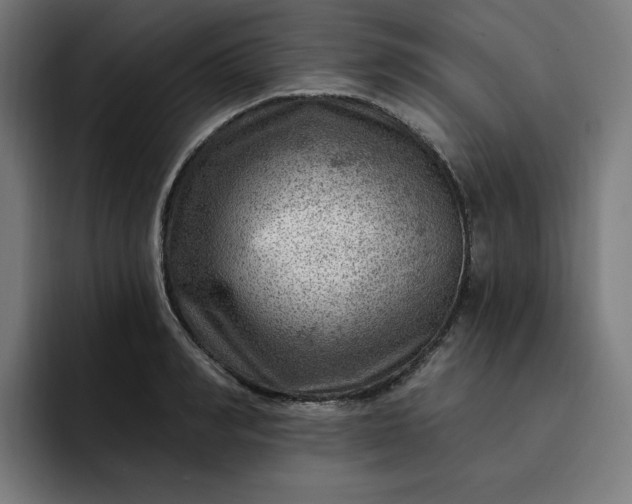 X0000093260990200710101456