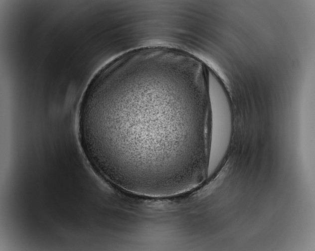 X0000093260991200710101456