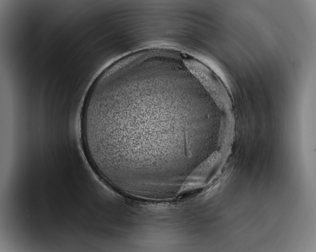 X0000093260999200710101455