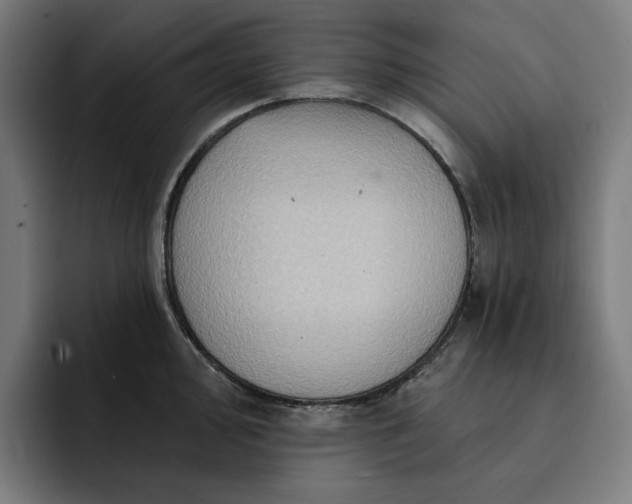 X0000093261000200710101455