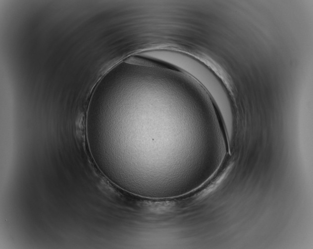 X0000093261001200710101455