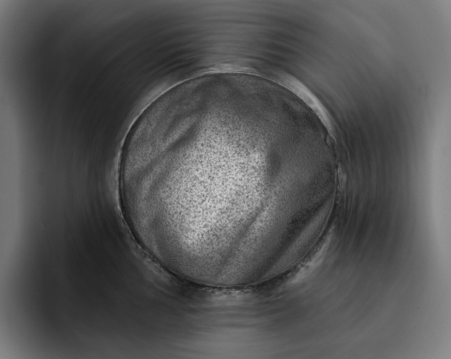 X0000093261002200710101455