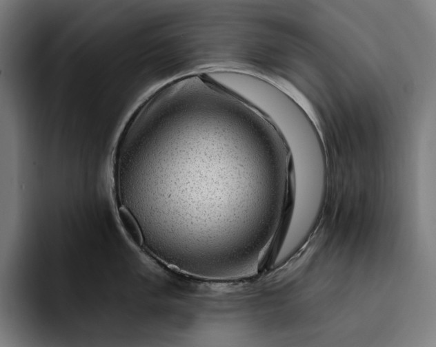 X0000093261005200710101455