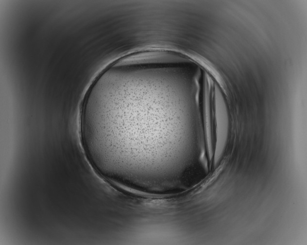 X0000093261006200710101455