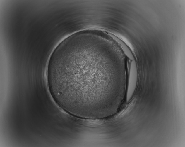 X0000093261007200710101455