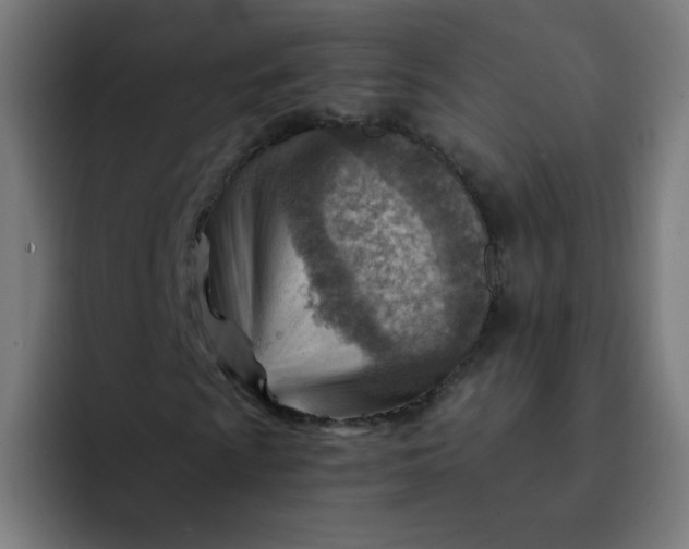 X0000093261009200710101455