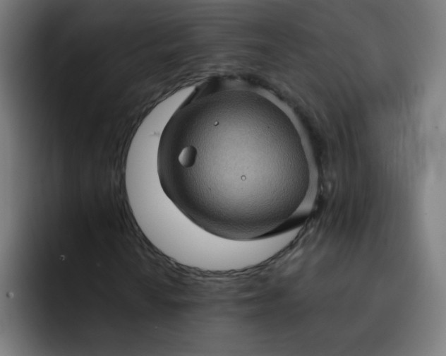 X0000093261010200710101455