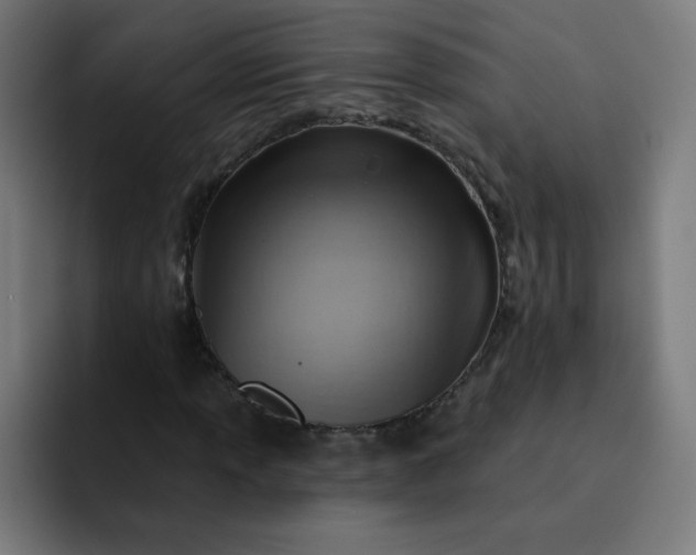 X0000093261013200710101455