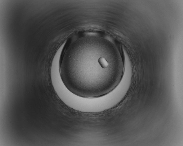 X0000093261014200710101455