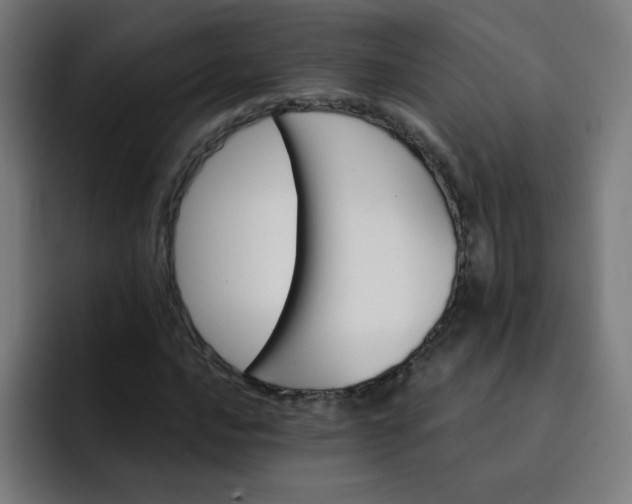 X0000093261016200710101455