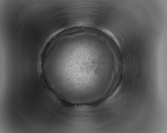 X0000093261019200710101455