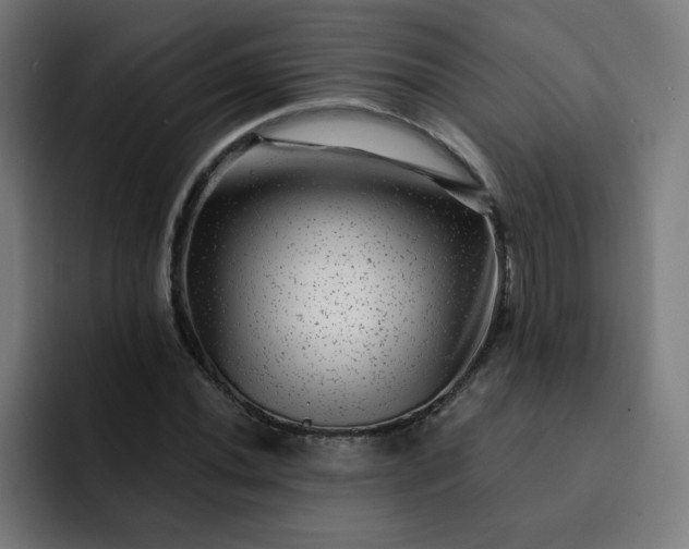 X0000093261020200710101455