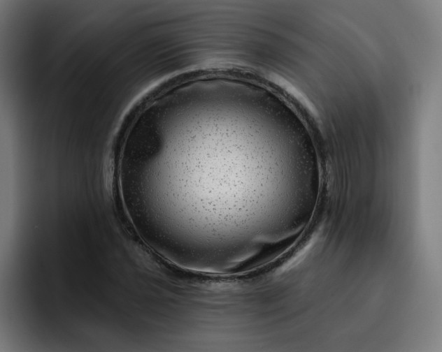 X0000093261021200710101455