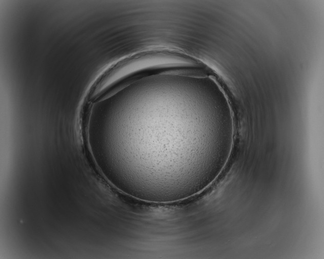 X0000093261022200710101455