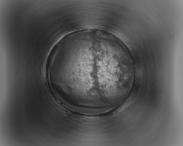 X0000093261023200710101455